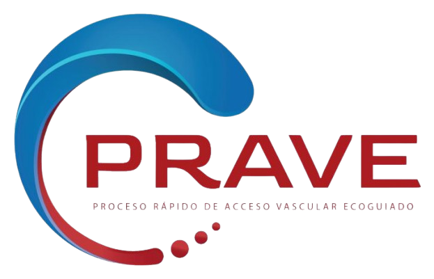PRAVE_logo